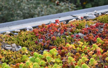 the cost of Hall Waberthwaite green roof installation