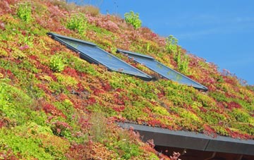 Hall Waberthwaite living roof systems