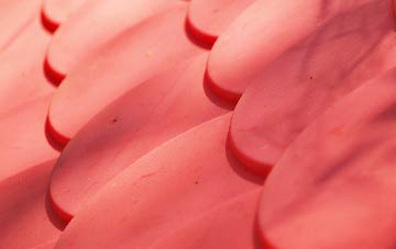 Hall Waberthwaite plastic roof costs