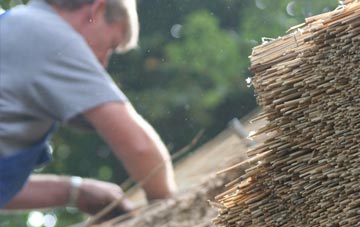 professional Hall Waberthwaite thatchers