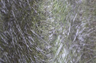 Hall Waberthwaite fibreglass roof work